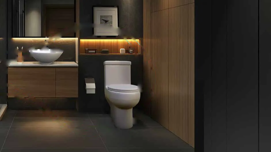 Ambiente de baño con sanitario CATO